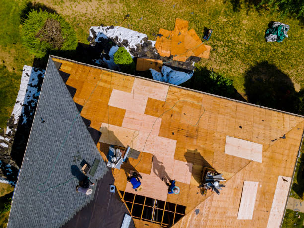 Best Residential Roofing Contractor  in New Albany, MS