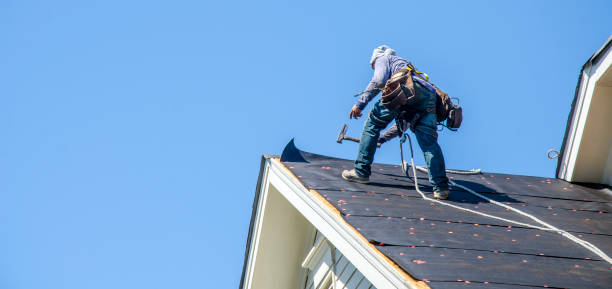 Best Roof Waterproofing Services  in New Albany, MS